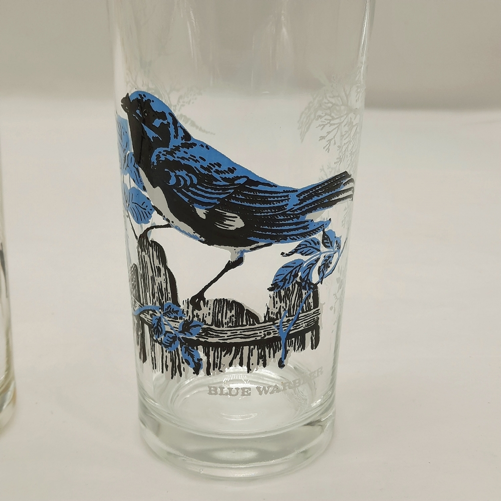 Vintage Glassware Bird Collectors Drinking Glasses 2 Piece Set - Picture 2 of 7